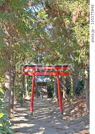 越谷散歩:真言宗智山派 一乗院 越谷市大字三野宮 越谷散歩:真言宗智山派 一乗院 越谷市大字三野宮 135575948
