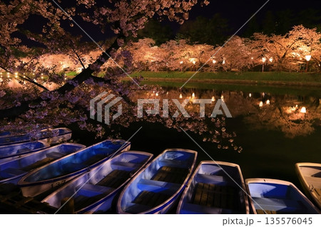水面に映る夜桜 135576045