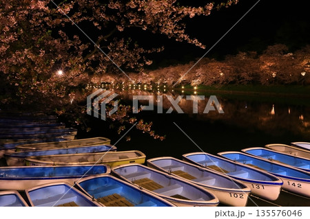 水面に映る夜桜 水面に映る夜桜 135576046