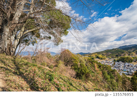 甘樫丘展望台からの景観　飛鳥歴史公園甘樫丘地区　奈良県明日香村 135576955