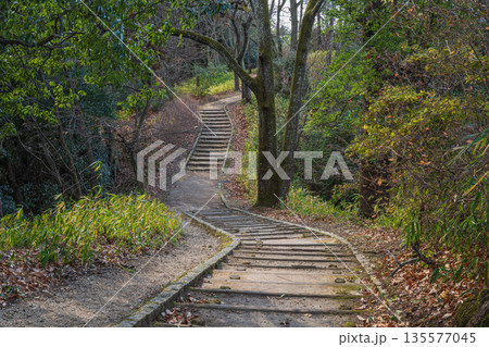 甘樫丘展望台から川原展望台へ続く遊歩道　飛鳥歴史公園甘樫丘地区　奈良県明日香村 135577045