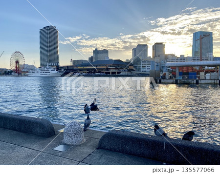 飛ぶ鳩と海の夕景 飛ぶ鳩と海の夕景 135577066