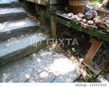 広島県　尾道・猫の細道（広島県尾道市） 135577818