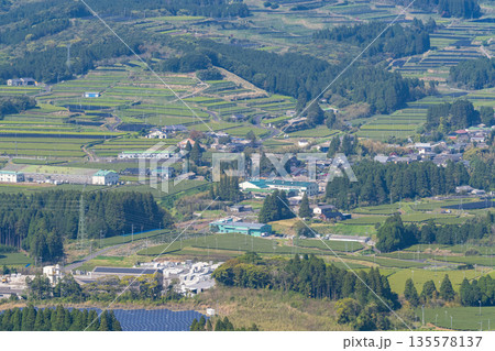《鹿児島県》広大な茶畑の風景・南九州市 135578137