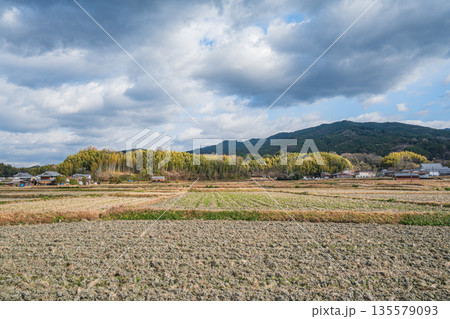 冬の明日香村の田園風景 奈良県 冬の明日香村の田園風景 奈良県 135579093