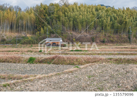 冬の明日香村の田園風景　奈良県 135579096