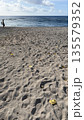 砂浜 135579352