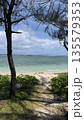木陰から見える海 135579353