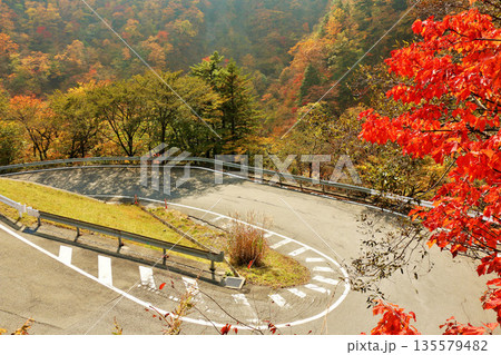 栃木県 秋の奥日光 いろは坂 栃木県 秋の奥日光 いろは坂 135579482