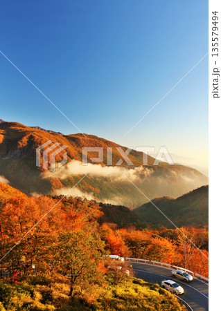 栃木県　秋の早朝　日光いろは坂からの風景 135579494