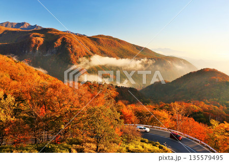 栃木県　秋の早朝　日光いろは坂からの風景 135579495