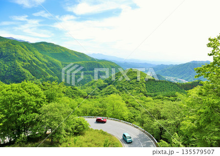 栃木県　初夏の新緑　奥日光いろは坂 135579507