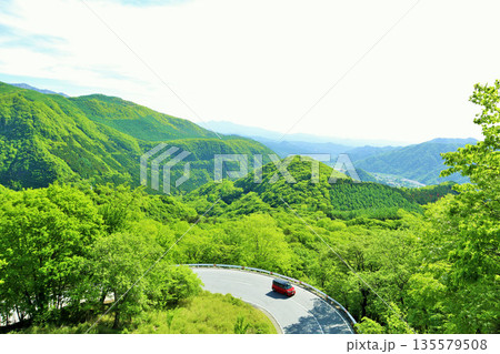 栃木県 初夏の新緑 奥日光いろは坂 栃木県 初夏の新緑 奥日光いろは坂 135579508