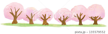 かわいい桜並木と芝生のイラスト 135579552