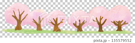 Cute illustration of a row of cherry blossom trees and a lawn 135579552