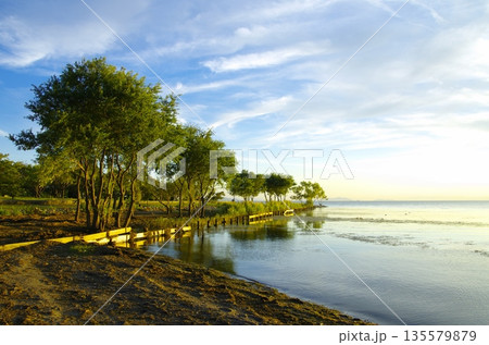 琵琶湖の湖畔に広がる静かな風景 琵琶湖の湖畔に広がる静かな風景 135579879