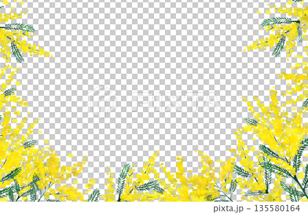 Mimosa watercolor illustration frame 135580164