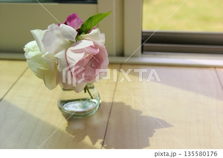 床に置かれた小さな花瓶に生けられたバラの花 135580176
