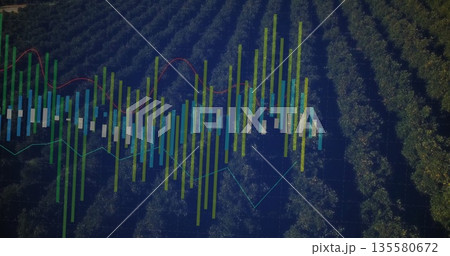 Displaying financial chart overlaying orchard view, with candlestick bars and colored line graphs 135580672