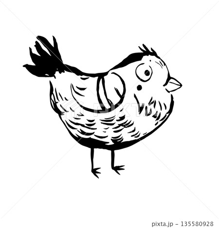 Vector illustration of a cute bird 135580928