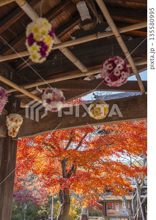 光明寺 花手水 秋 紅葉の季節 光明寺 花手水 秋 紅葉の季節 135580995