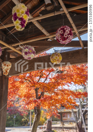 光明寺 花手水 秋 紅葉の季節 光明寺 花手水 秋 紅葉の季節 135580996