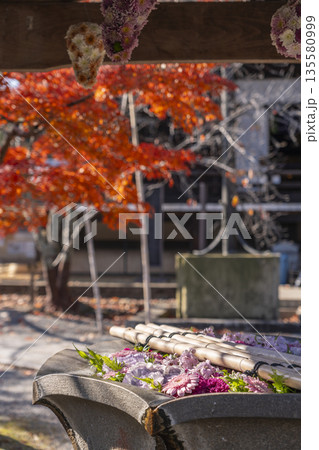 光明寺 花手水 秋 紅葉の季節 光明寺 花手水 秋 紅葉の季節 135580999