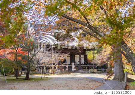 光明寺 阿弥陀堂 秋 紅葉の季節 光明寺 阿弥陀堂 秋 紅葉の季節 135581009