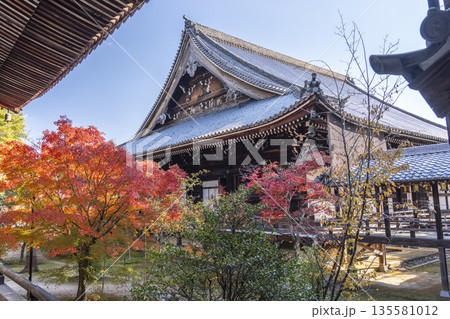 光明寺 御影堂 秋 紅葉の季節 光明寺 御影堂 秋 紅葉の季節 135581012