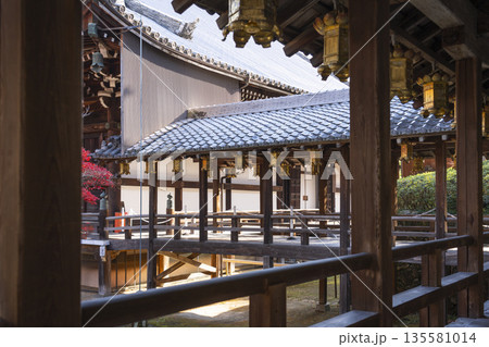 光明寺　阿弥陀堂から御影堂へ　秋　紅葉の季節 135581014