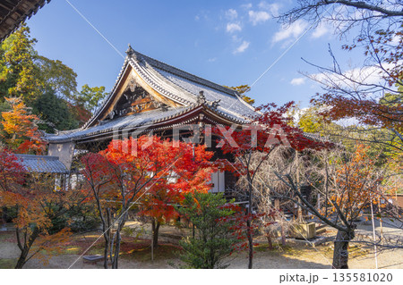 光明寺　阿弥陀堂　秋　紅葉の季節 135581020