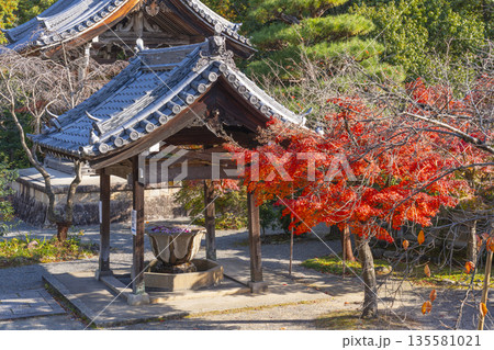 光明寺 花手水 秋 紅葉の季節 光明寺 花手水 秋 紅葉の季節 135581021