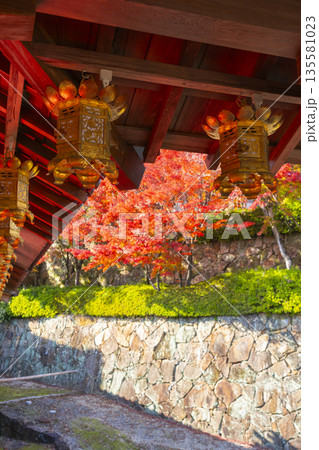 光明寺 秋 紅葉の季節 光明寺 秋 紅葉の季節 135581023