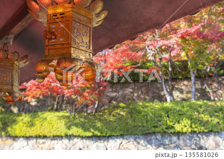 光明寺　秋　紅葉の季節 135581026
