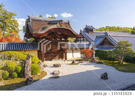 光明寺 信楽庭と勅使門 秋 紅葉の季節 光明寺 信楽庭と勅使門 秋 紅葉の季節 135581028