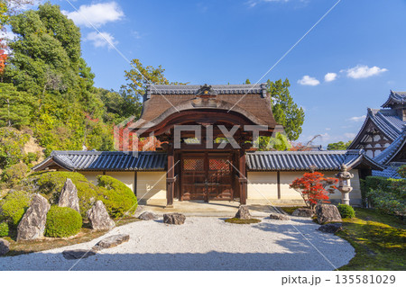 光明寺 信楽庭と勅使門 秋 紅葉の季節 光明寺 信楽庭と勅使門 秋 紅葉の季節 135581029