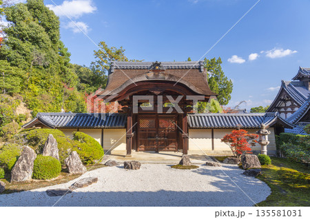 光明寺　信楽庭と勅使門　秋　紅葉の季節 135581031