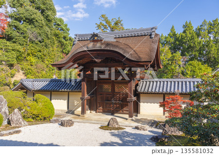 光明寺 信楽庭と勅使門 秋 紅葉の季節 光明寺 信楽庭と勅使門 秋 紅葉の季節 135581032