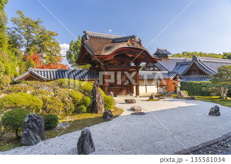 光明寺　信楽庭と勅使門　秋　紅葉の季節 135581034