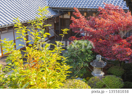光明寺　秋　紅葉の季節 135581038