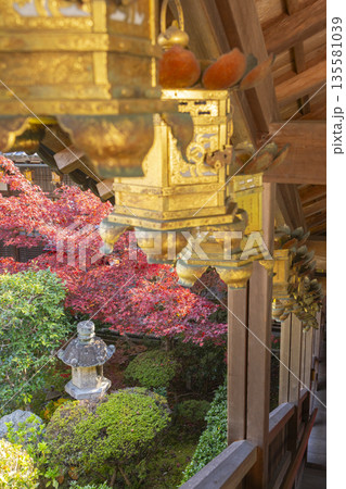 光明寺 秋 紅葉の季節 光明寺 秋 紅葉の季節 135581039