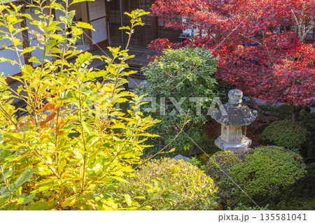 光明寺 秋 紅葉の季節 光明寺 秋 紅葉の季節 135581041