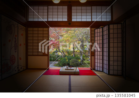 光明寺 もみじの間 庭園 秋 紅葉の季節 光明寺 もみじの間 庭園 秋 紅葉の季節 135581045