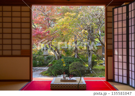 光明寺　もみじの間　庭園　秋　紅葉の季節 135581047