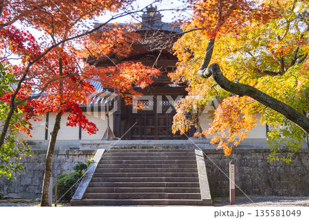 光明寺　勅使門　秋　紅葉の季節 135581049