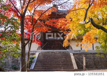 光明寺　勅使門　秋　紅葉の季節 135581051