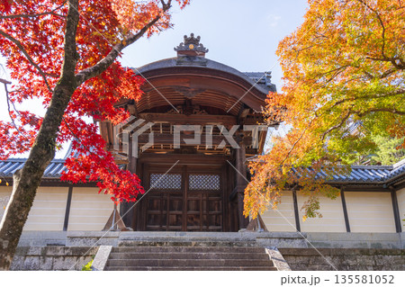 光明寺　勅使門　秋　紅葉の季節 135581052