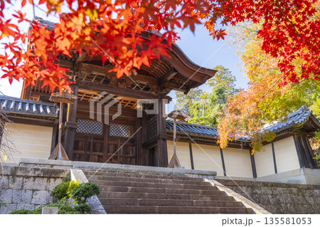 光明寺　勅使門　秋　紅葉の季節 135581053