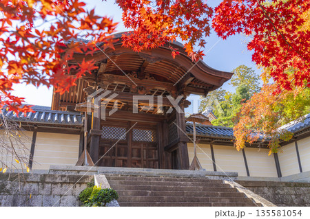 光明寺 勅使門 秋 紅葉の季節 光明寺 勅使門 秋 紅葉の季節 135581054