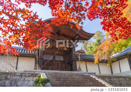 光明寺　勅使門　秋　紅葉の季節 135581055